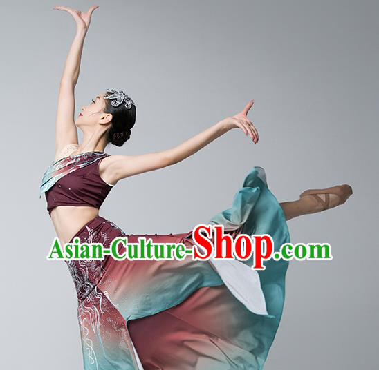 China Ethnic Female Peacock Dance Garments Yunnan Minority Folk Dance Wine Red Dress Dai Nationality Stage Performance Clothing
