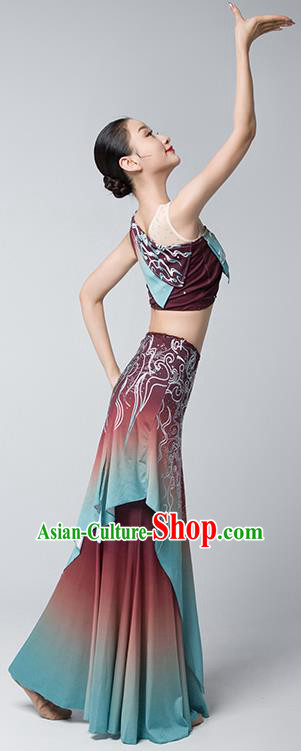 China Ethnic Female Peacock Dance Garments Yunnan Minority Folk Dance Wine Red Dress Dai Nationality Stage Performance Clothing