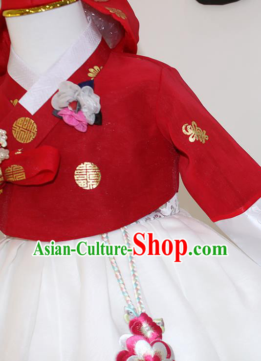 Traditional Korean Fashion Apparels Hanbok Clothing Children Girl Red Blouse and White Dress