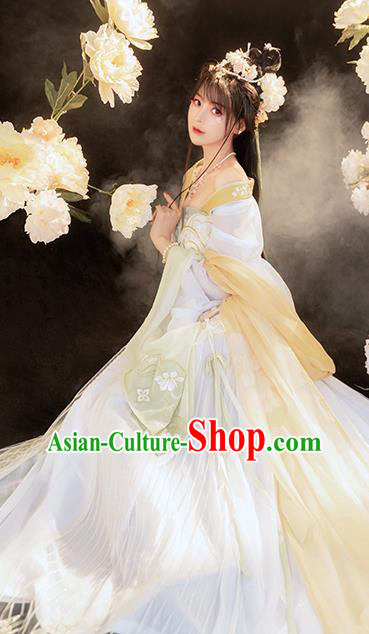 China Traditional Tang Dynasty Palace Beauty Garment Costumes Ancient Fairy Hanfu Dress Clothing
