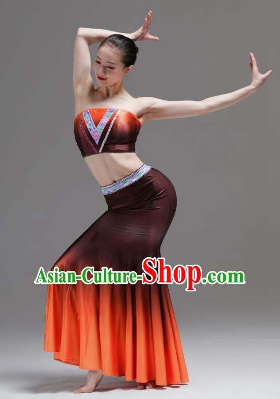 Chinese Dai Minority Performance Orange Dress Outfits Yunnan Nationality Clothing Peacock Dance Costumes Ethnic Woman Garments