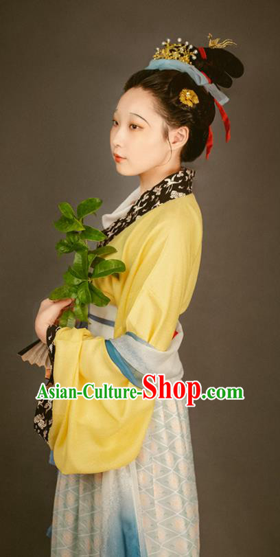 China Traditional Court Beauty Historical Costume Ancient Palace Lady Clothing Song Dynasty Imperial Consort Hanfu Dresses