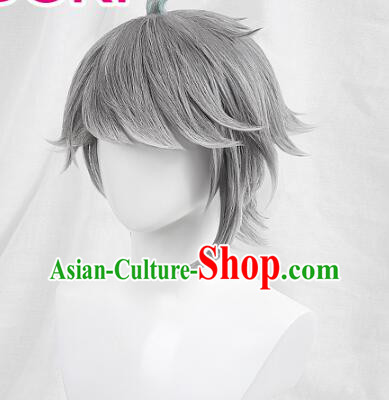 Top Cosplay Grey Wig Handmade Short Wig Men Head Gear