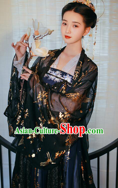 Chinese Ancient Princess Hanfu Clothing Tang Dynasty Ruqun Black Dresses Traditional Garment Costumes