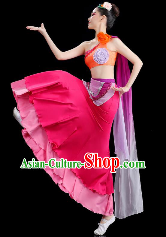 Chinese Stage Performance Fashion Classical Dance Clothing Woman Solo Dance Pink Dress Peacock Dance Costume