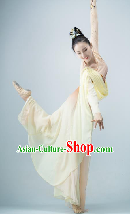 Chinese Dance Competition Clothing Classical Dance Costume Umbrella Dance Apricot Dress