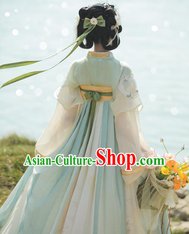 Chinese Ancient Young Lady Dress Tang Dynasty Garment Costumes Traditional Hanfu Clothing