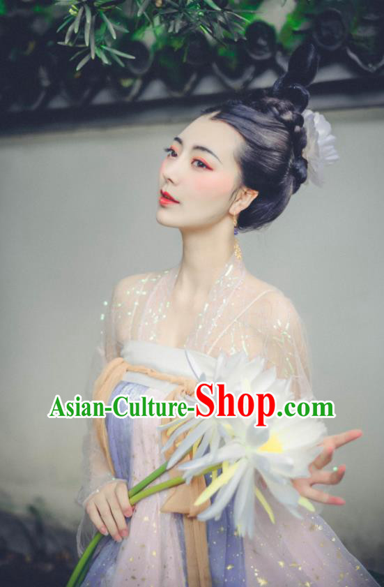 Chinese Ancient Fairy Dress Tang Dynasty Young Women Garment Costumes Traditional Hanfu Clothing