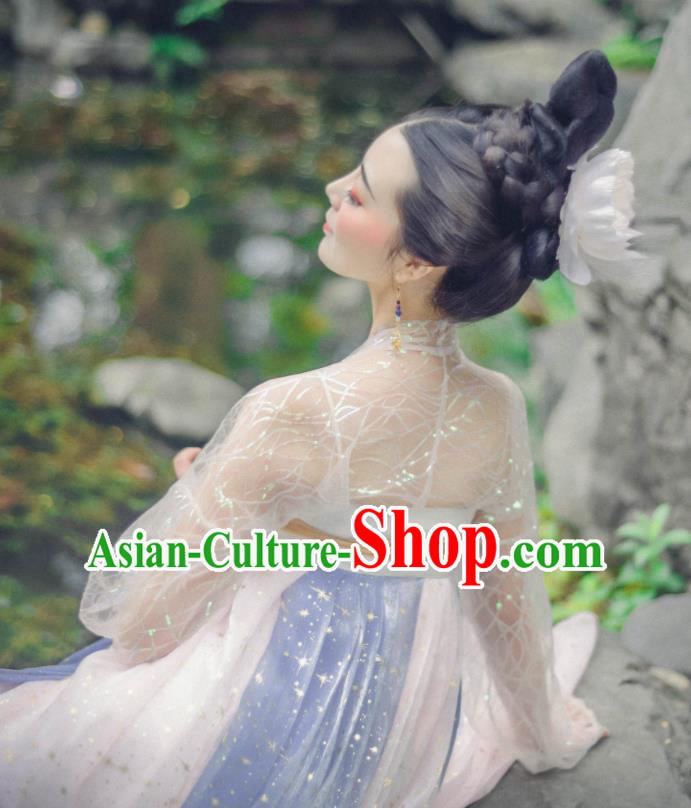 Chinese Ancient Fairy Dress Tang Dynasty Young Women Garment Costumes Traditional Hanfu Clothing