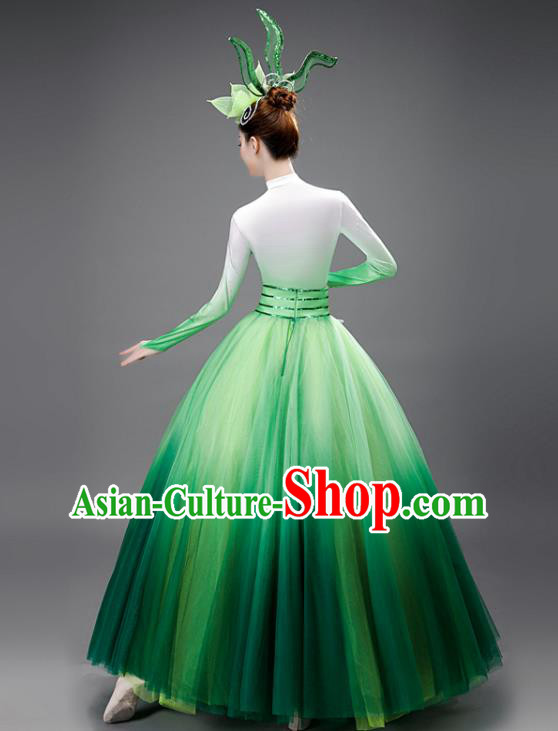 Chinese Modern Dance Green Dress Opening Dance Garment Costume Women Group Performance Clothing