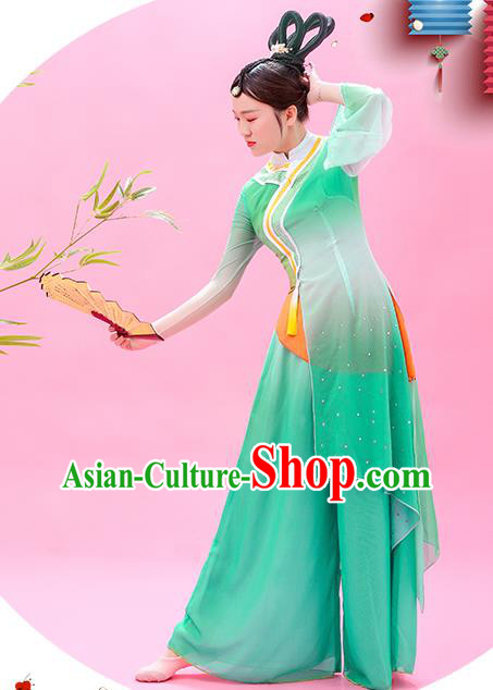Chinese Classical Dance Green Outfit Women Dance Competition Garment Costume Fan Dance Clothing