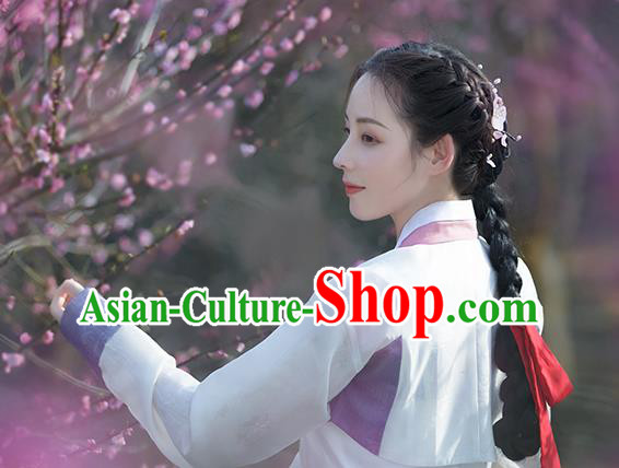Korean Traditional Garment Ancient Women Hanbok Drama Dress of Korea