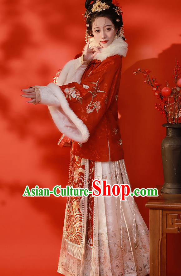Chinese Traditional Winter Garment Clothing Ancient Rich Lady Dresses Ming Dynasty Costumes