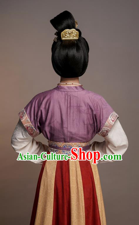 Chinese Traditional Hanfu Dress Ancient Palace Beauty Clothing Tang Dynasty Princess Garment Costumes