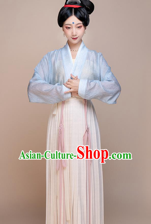 Chinese Ancient Palace Beauty Clothing Song Dynasty Noble Woman Garment Costumes Traditional Hanfu Dress