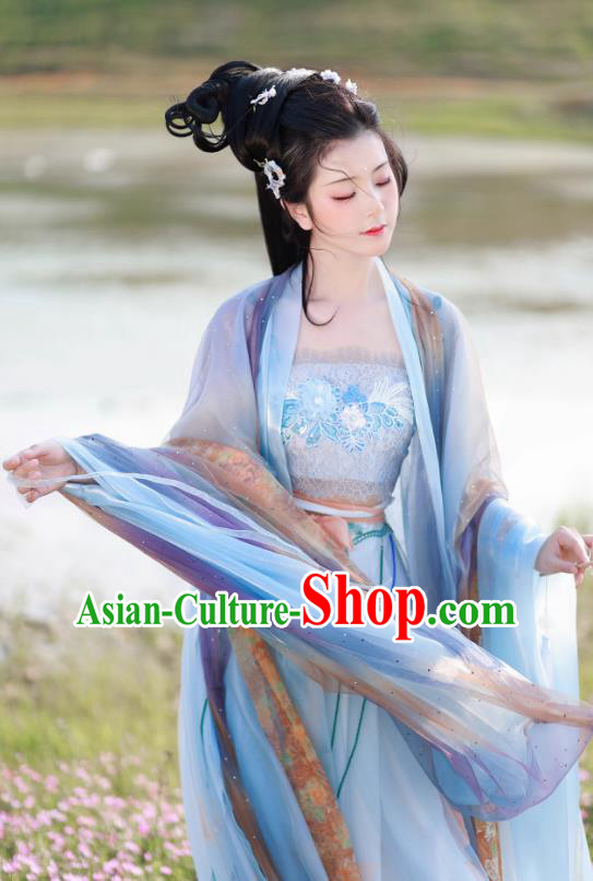 Traditional Hanfu Blue Hezi Dress China Ancient Princess Clothing Tang Dynasty Young Lady Costumes