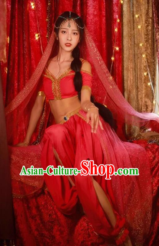 Top Stage Performance Costume Arab Middle East Princess Clothing Belly Dance Pink Outfit