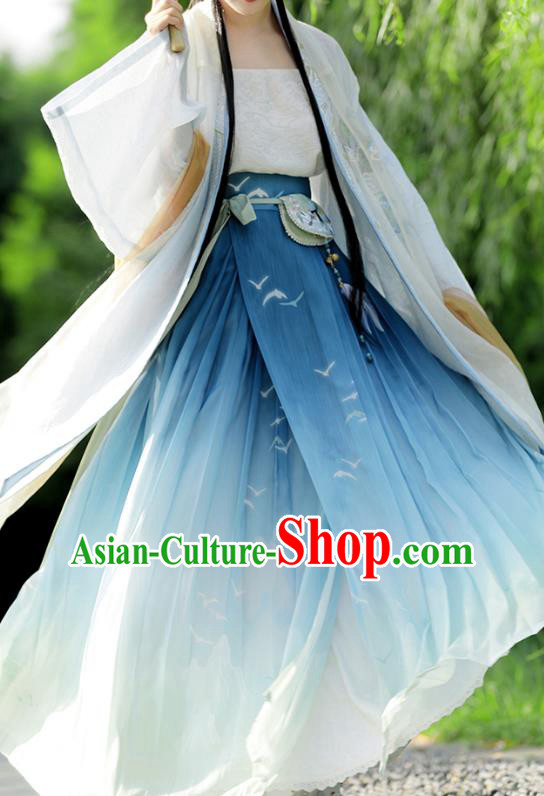 China Ancient Goddess Clothing Song Dynasty Young Lady Costumes Traditional Light Blue Hanfu Dresses