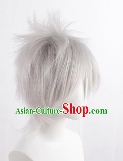 Silver Gray Hatake Kakashi Style Fluffy Men's Short Hair Cosplay Wig