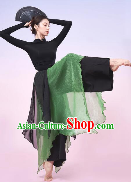 China Classical Dance Costume Woman Dance Training Clothing Modern Dance Black and Green Outfit
