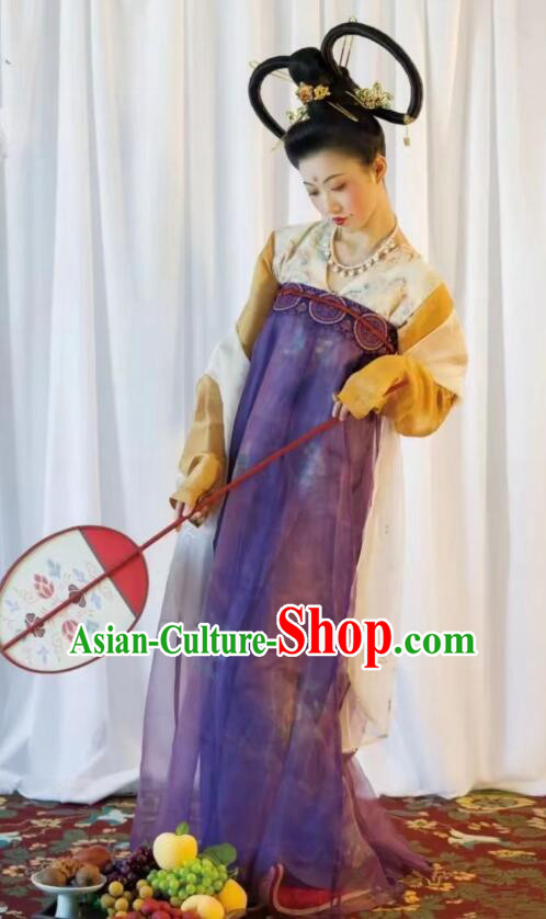 Chinese Tang Dynasty Princess Garments Ancient Young Lady Costumes Classical Dance Hanfu Dress
