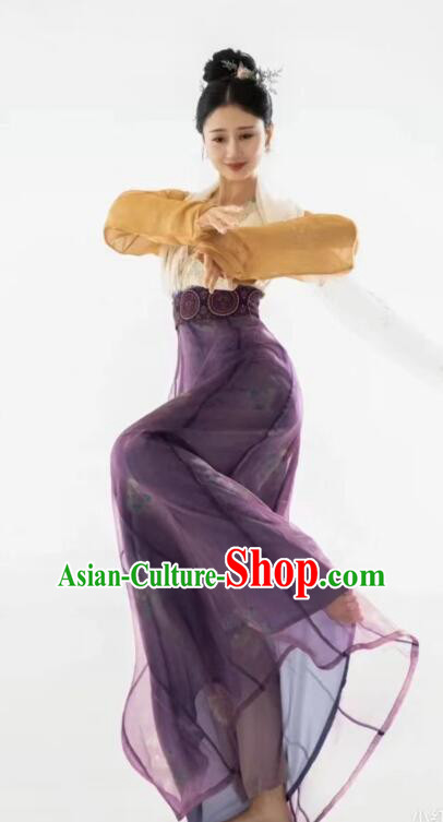 Chinese Tang Dynasty Princess Garments Ancient Young Lady Costumes Classical Dance Hanfu Dress