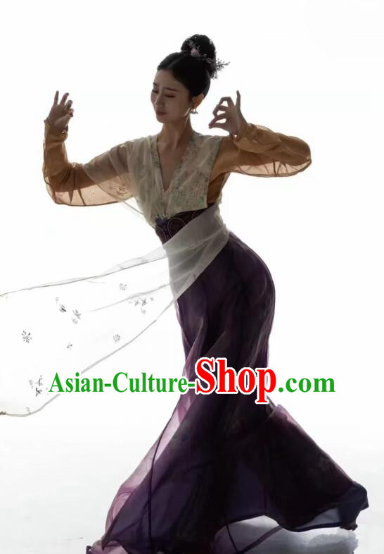 Chinese Tang Dynasty Princess Garments Ancient Young Lady Costumes Classical Dance Hanfu Dress