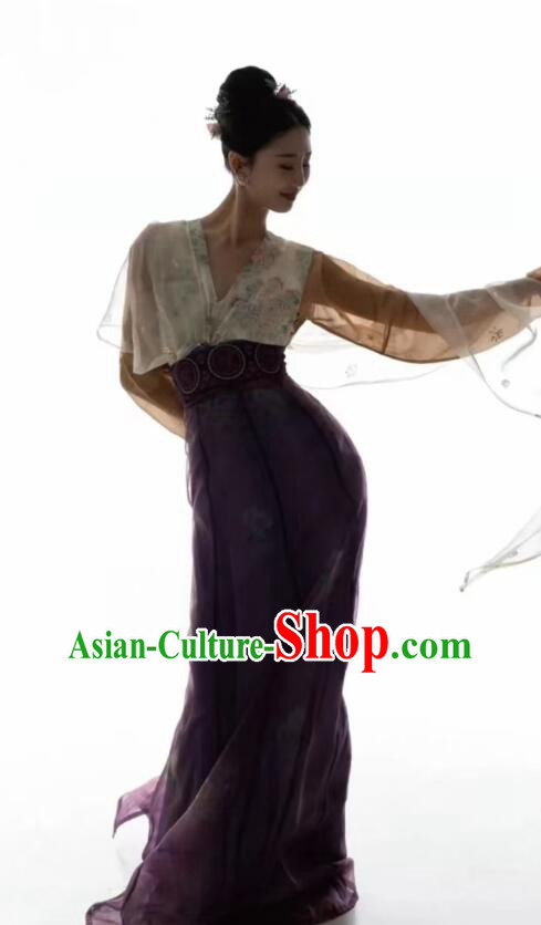 Chinese Tang Dynasty Princess Garments Ancient Young Lady Costumes Classical Dance Hanfu Dress