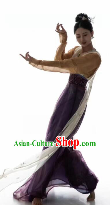 Chinese Tang Dynasty Princess Garments Ancient Young Lady Costumes Classical Dance Hanfu Dress