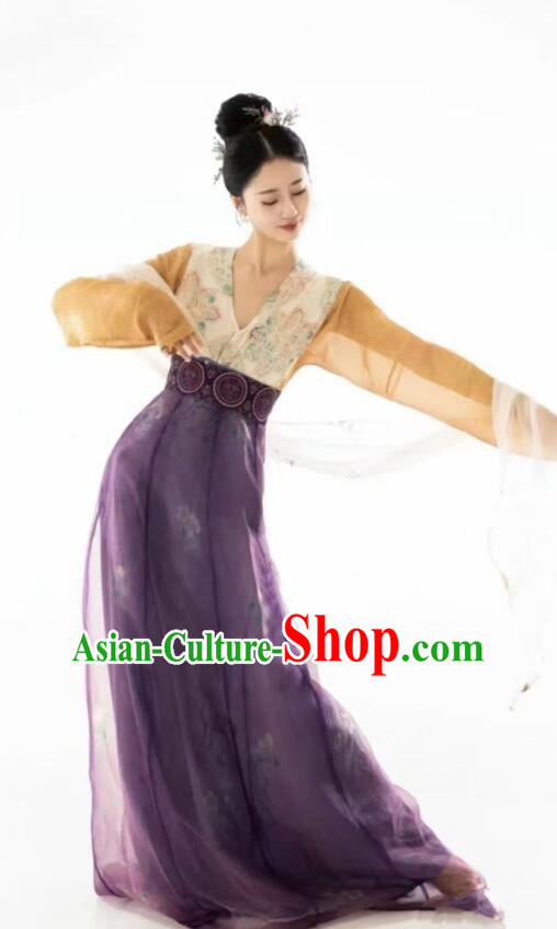 Chinese Tang Dynasty Princess Garments Ancient Young Lady Costumes Classical Dance Hanfu Dress