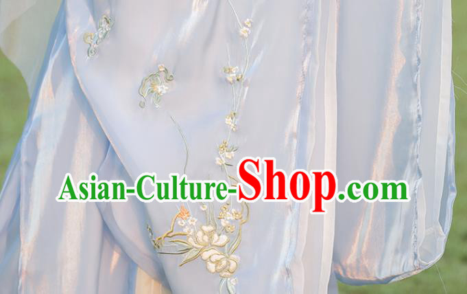 Chinese Traditional Hezi Dress Ancient Hanfu Fairy Clothing Tang Dynasty Young Woman Costumes