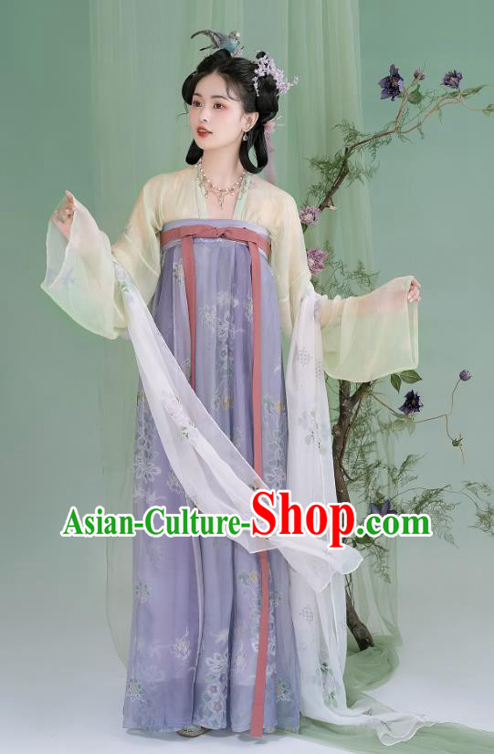 China Ancient Young Lady Dresses Tang Dynasty Court Princess Clothing Traditional Costumes Woman Hanfu