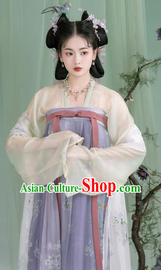 China Ancient Young Lady Dresses Tang Dynasty Court Princess Clothing Traditional Costumes Woman Hanfu