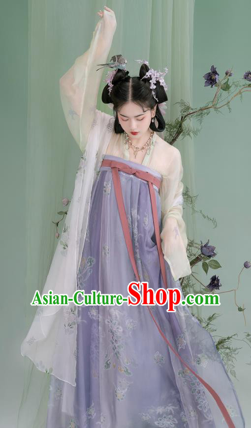 China Ancient Young Lady Dresses Tang Dynasty Court Princess Clothing Traditional Costumes Woman Hanfu