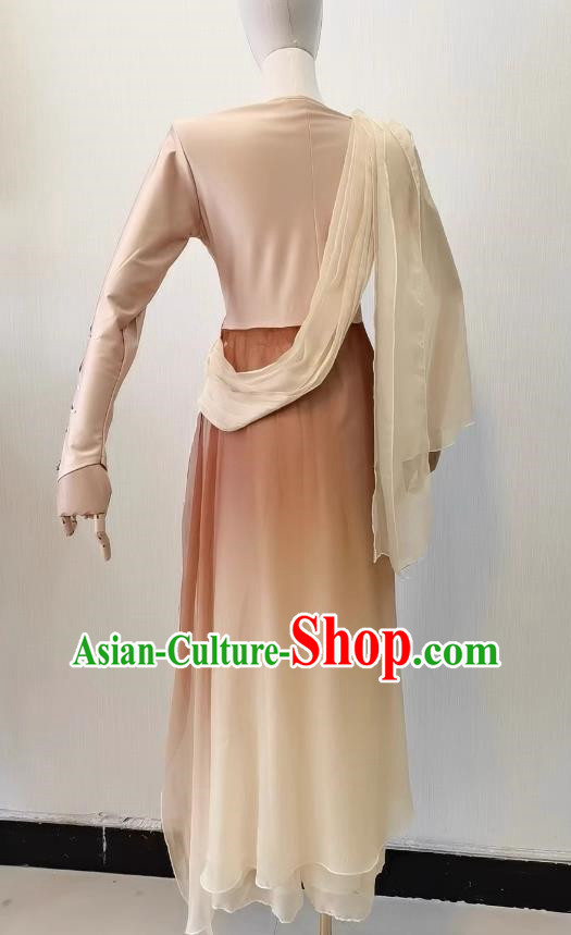 Taoli Cup Classical Dance Costume Hanyi Shuying Dance Costume Stage Performance Costume Elegant Gradient National Costume