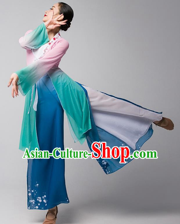 Classical Dance Chinese Ancient Style Gauze Body Elegant Shawl Performance Dance Clothing Practice Clothing Dream Catcher Adult Chiffon