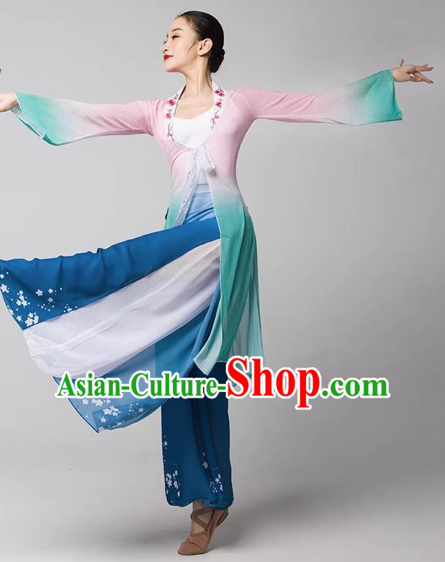 Classical Dance Chinese Ancient Style Gauze Body Elegant Shawl Performance Dance Clothing Practice Clothing Dream Catcher Adult Chiffon