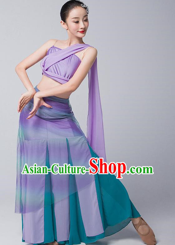 Art Examination Peacock Dance Practice Skirt Dai Dance Costume Female National Dance Performance Clothing