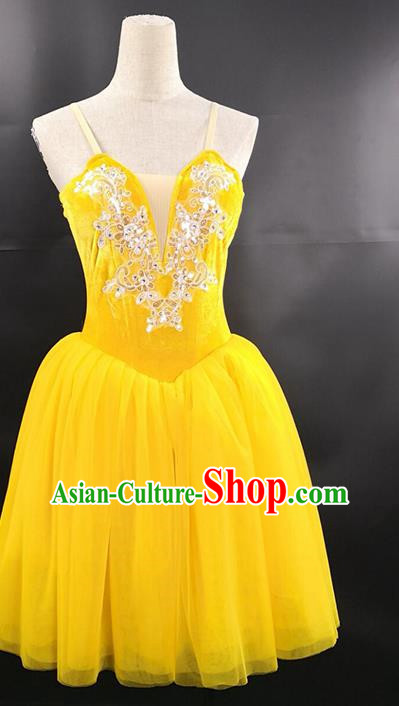 Ballet Performance Costume Long Skirt Custom Dance Aerobics Stage Ballet Costume Gauze Skirt Tutu Skirt Performance Costume