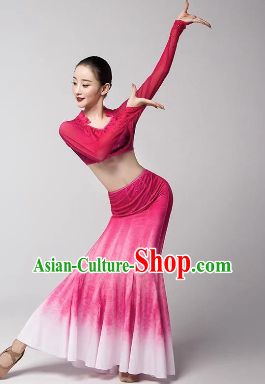 Taoli Cup Art Test Practice Clothing Performance Adult Children Dai Dance Performance Clothing Girl Peacock Dance Mermaid Skirt