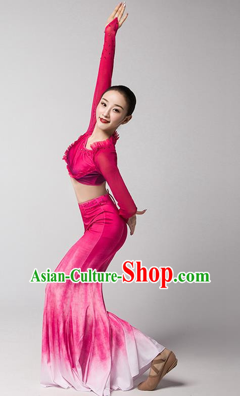 Taoli Cup Art Test Practice Clothing Performance Adult Children Dai Dance Performance Clothing Girl Peacock Dance Mermaid Skirt