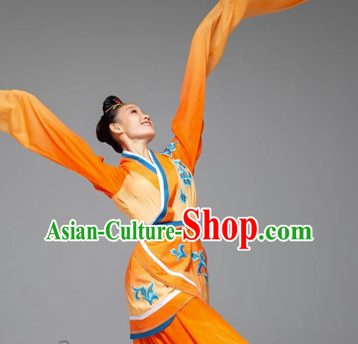 Classical Dance Water Sleeve Dance Costume Jade Dance Long Water Sleeve National Performance Costume