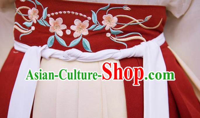 Woman Hanfu China Jin Dynasty Princess Clothing Traditional Female Costumes Ancient Swordswoman Dresses