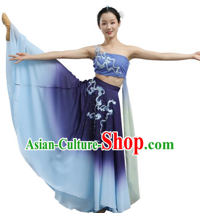 China Classical Dance Dance Under The Moon Dance Costume Big Skirt Practice Art Test Performance Dance Performance Costume