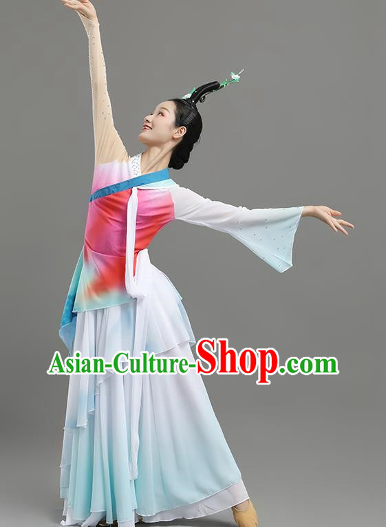 China Classical Dance Landscape Dance Costume Art Examination Adult Performance Clothing Elegant Skirt Female Performance Clothing