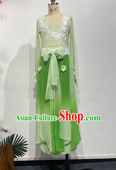 China Classical Chinese Style Art Test Dance Sentiment Embroidered Ridge Performance Costumes Performance Costumes Solo Repertoire Costumes