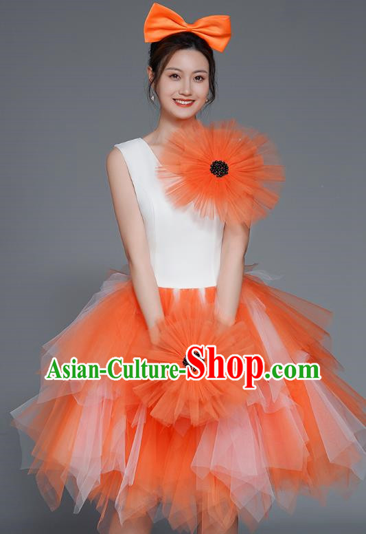 Modern Dance Costumes Fashion Dancer Costumes Opening Dance Costumes Fluffy Chorus Square Dance Dresses