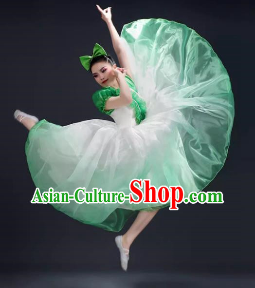 Opening Dance Big Swing Skirt Performance Costume Female Modern Dance Costume Song and Dance Performance Costume Classical Stage Long Skirt