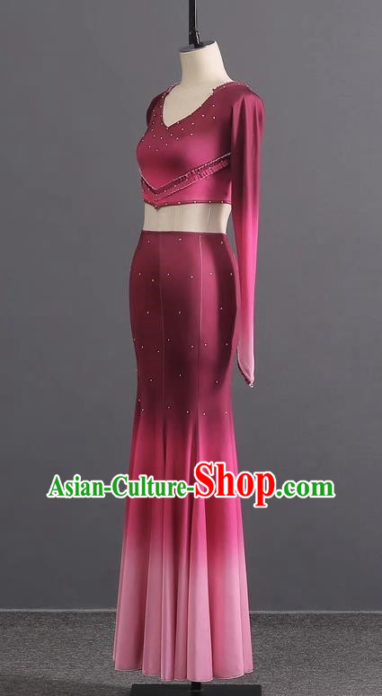 Dai Dance Costume Performance Costume Female Student Art Test Mermaid Skirt Chinese Minority Adult Grade Test Practice Clothing