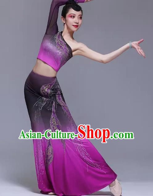 Dai Costume Female Xishuangbanna Children Dai Dance Costume Art Examination Dai Dance Performance Costume Dai Dance Skirt